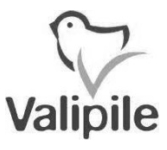 vpvp